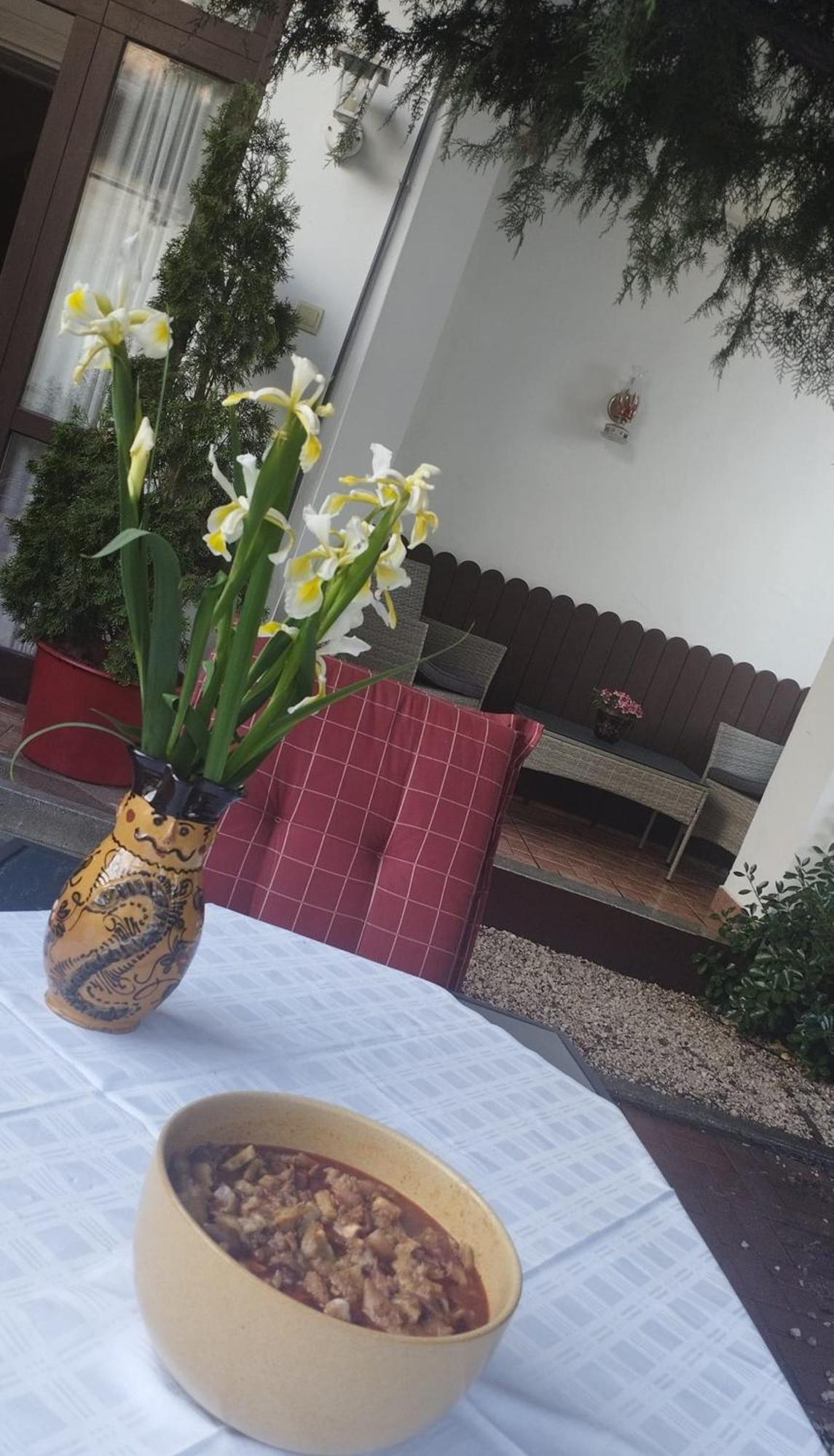 Erzsebet Vendeghaz Es Apartman Hajduszoboszlo Exterior photo